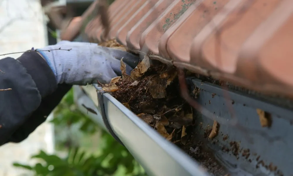 Soft wash roof cleaning removing moss from a Sydney tile roof